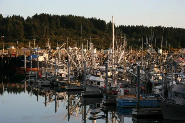 Kodiak Harbor