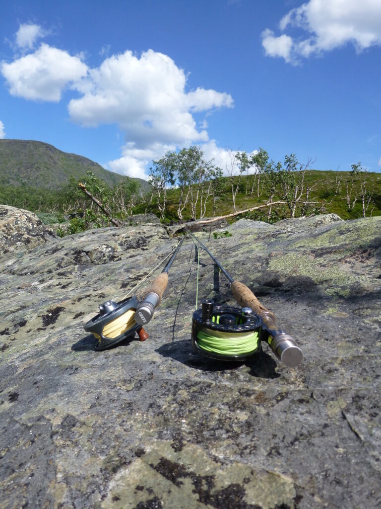 frequent flyer P1050228