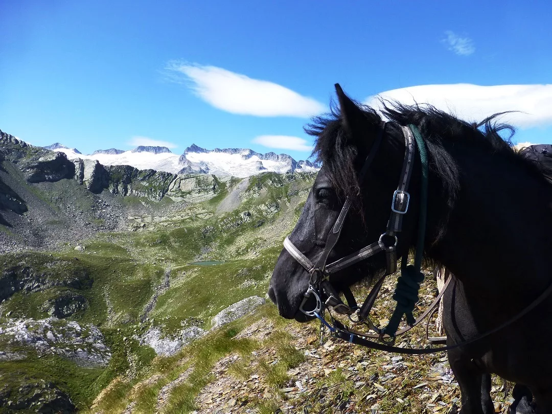 Wanderritt in den Pyrenäen
