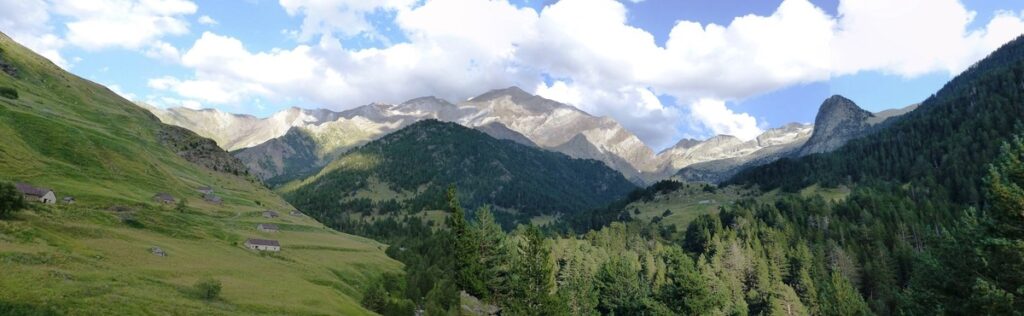 Viadós und Pic Posets