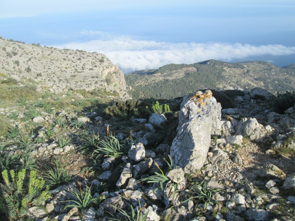 Mallorca mal anders / Foto Hendrik Dörr Mallorca mal anders / Foto Hendrik Dörr