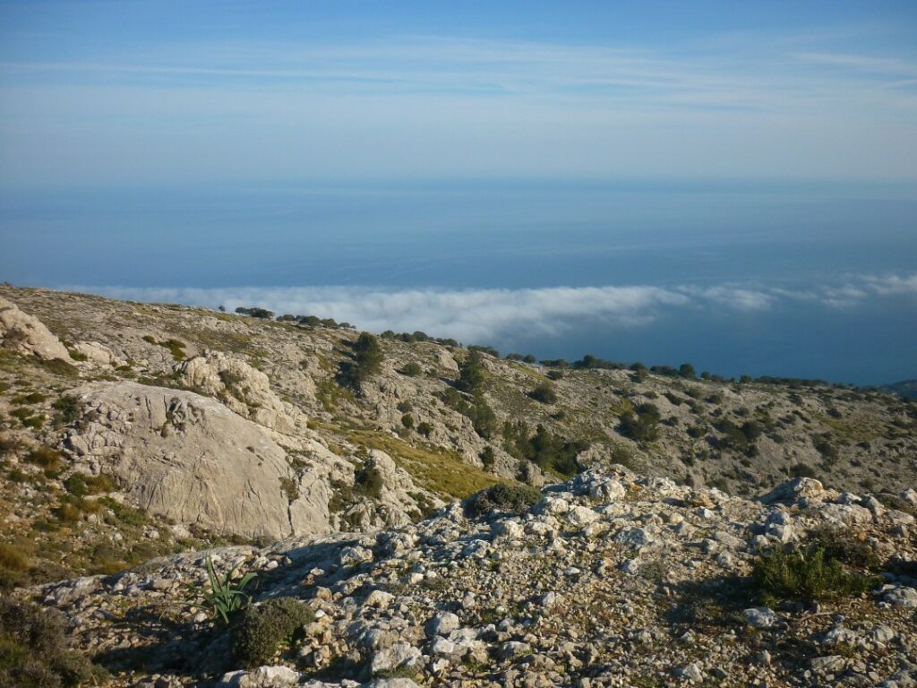 / Foto Burkhard Giersberg / Foto Burkhard Giersberg