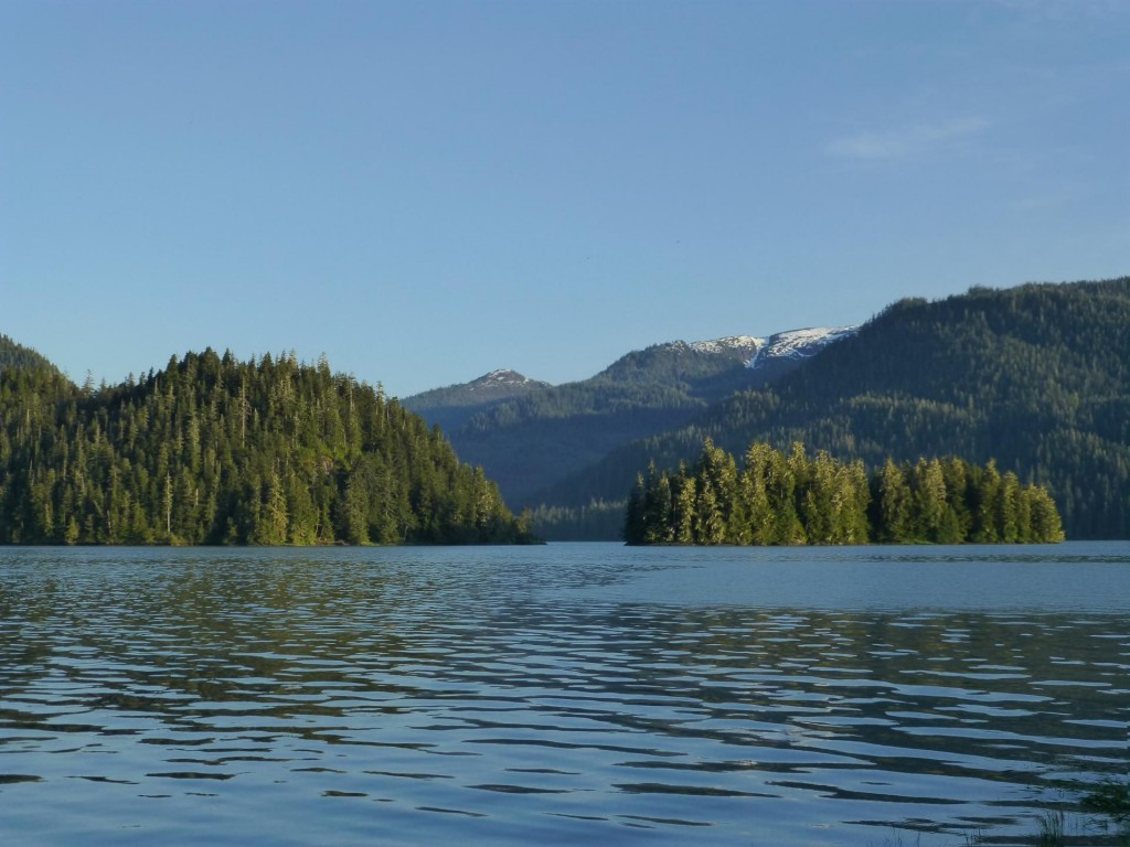 View from cabin View from cabin