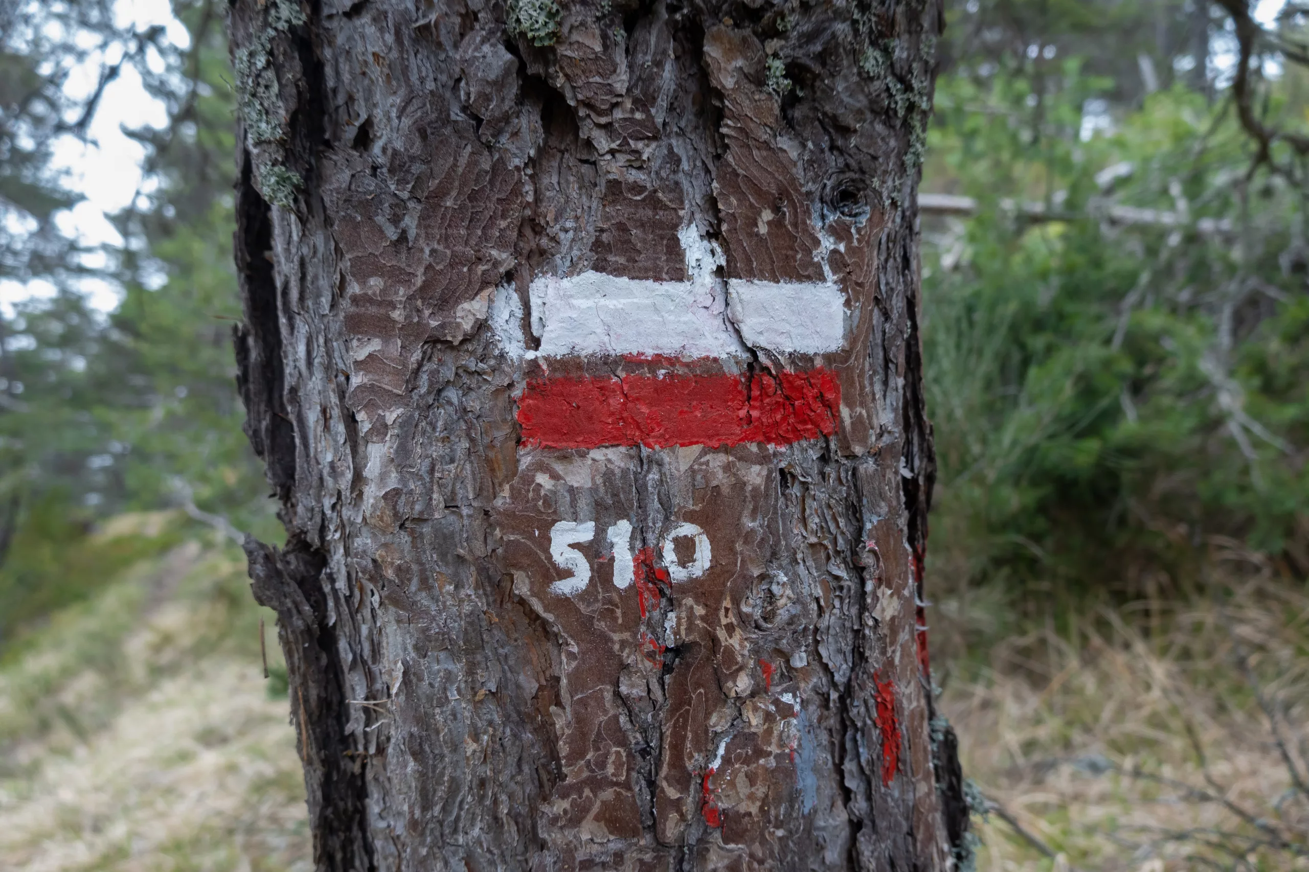 GR®510 – Le Sentier de 8 Vallées